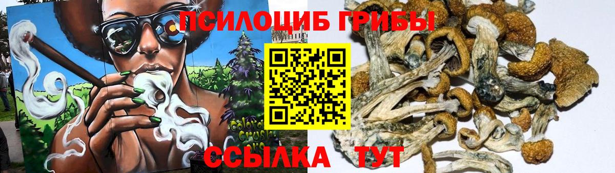 Псилоцибиновые грибы мухоморы Беслан
